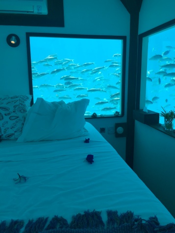Floating Room Manta Resort